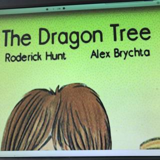 the Dragon tree