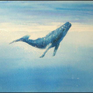 后來◎人生海海 等待能听懂你的那只鲸