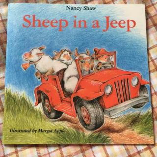 sheep in a jeep 球妈