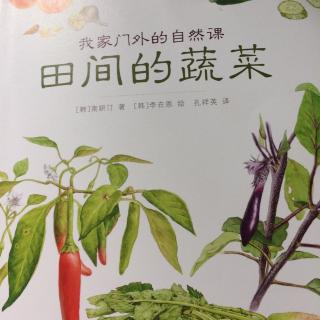 我家门外的自然课——田间的蔬菜（2）