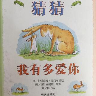 猜猜我有多爱你