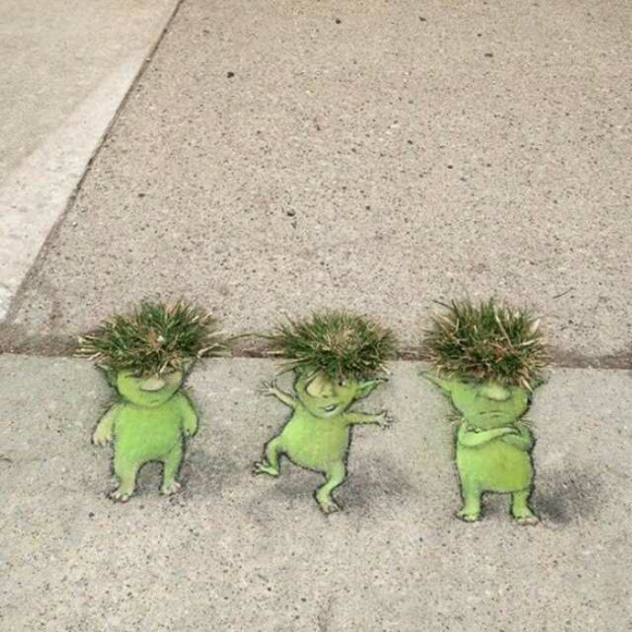 《草根儿》赏析