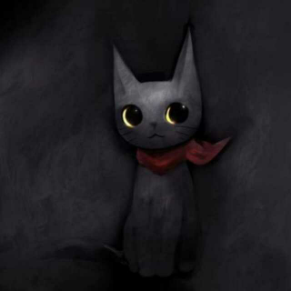 怕黑夜的小黑猫