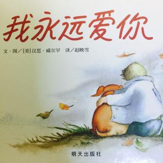 飞飞老师讲故事：《我永远爱你》