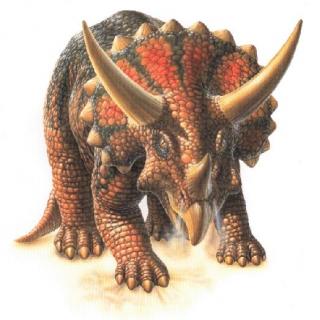 -Triceratops,- Dinosaurs Songs