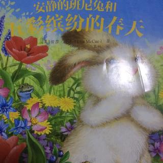安静的班尼兔和五彩滨纷的春天