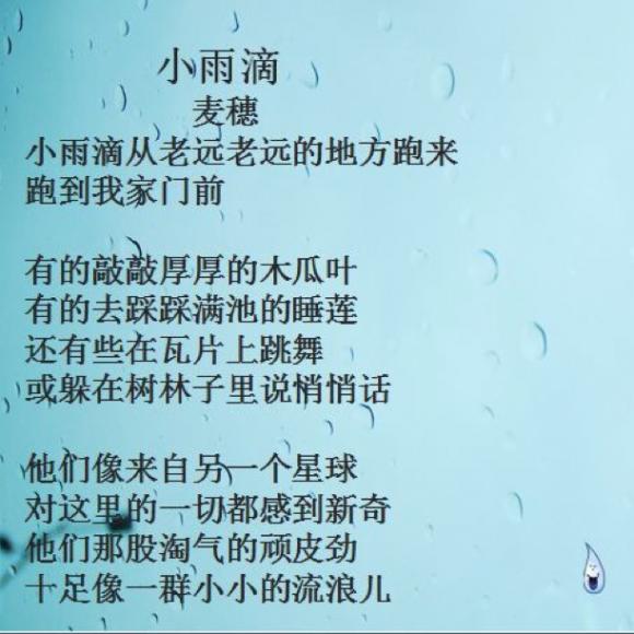 小雨滴 台湾 麦穗图片