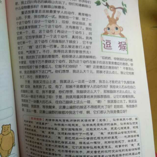 单口相声《逗猴》