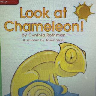 Look at chameleon