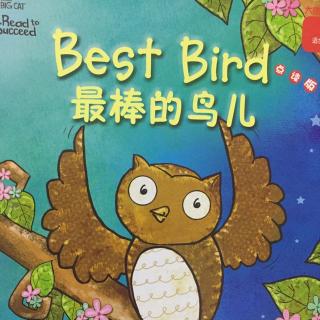 Best Bird 大猫英语分级阅读二级3