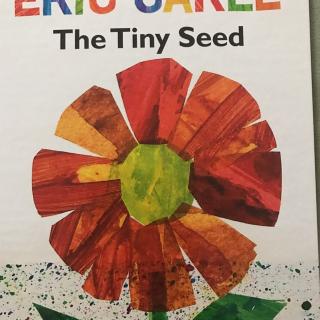 【兔兔Emily】The Tiny Seed