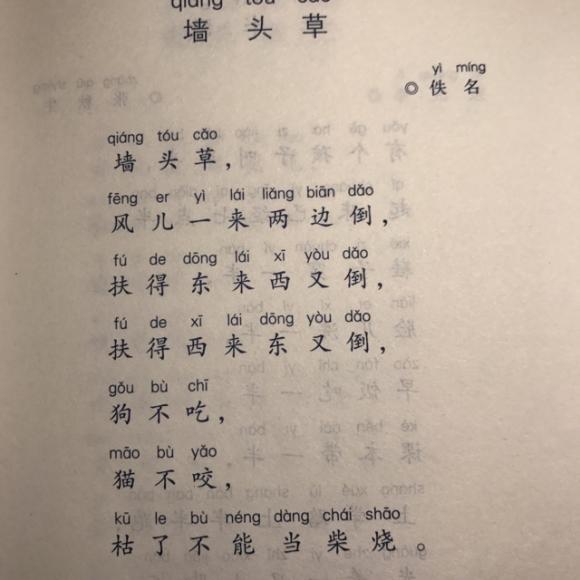 《日有所诵》一年级 - 墙头草