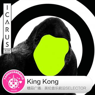 糖蒜爱音乐之The Selector：King Kong