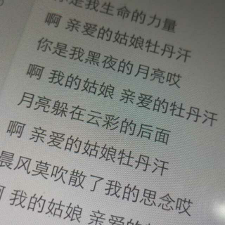 🎶你是我生命的力量——《牡丹汗》