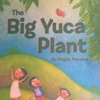 The Big Yuca Plant