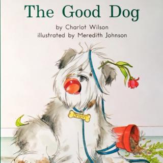 G1 book47 The good dog