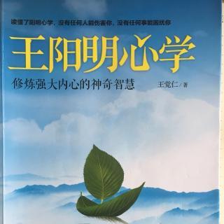 第八章：二、禅：住在你心中的导师（上）