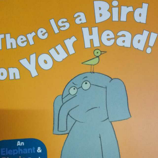 小猪和小象there is a bird on your  head