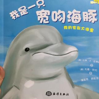 我是一只宽吻海豚