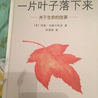 一片叶子落下来