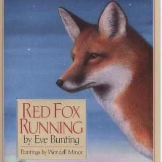 悦读S2Day37 RED FOX RUNNING