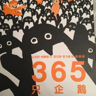 绘本故事《365只企鹅》🐧