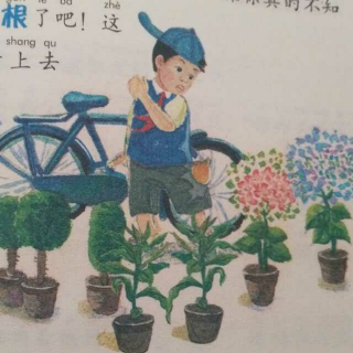 《宝葫芦秘密》第31章