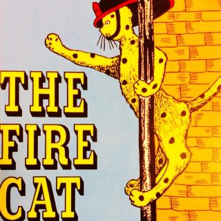 The fire cat（3）