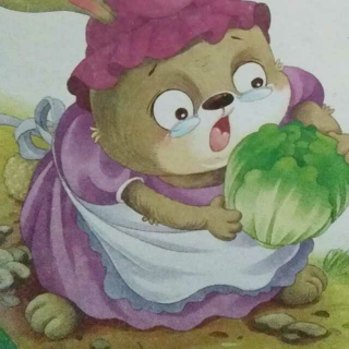 兔奶奶的包心菜图片图片