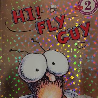 hi！fly guy