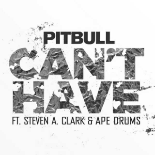 Can't Have――Pitbull&Steven A. Clark&Ape Drums