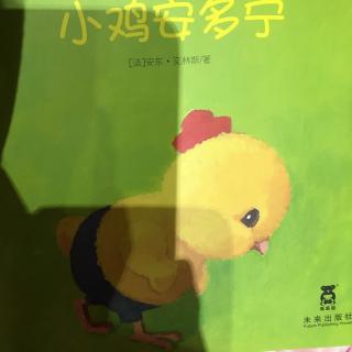 小鸡安多宁