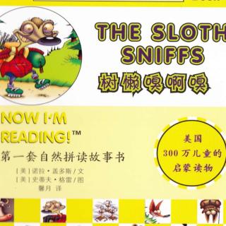 The sloth sniffs