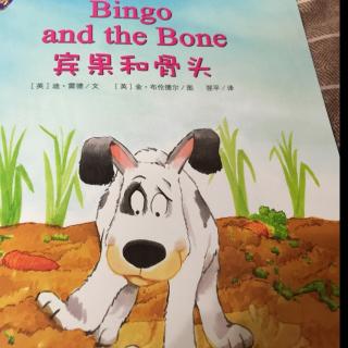 Bingo and the Bone