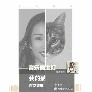 【音乐偏主打】Summer新单“我的猫”，讲一个喵星人的故事