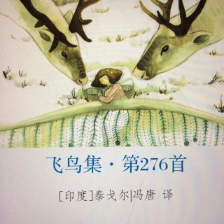 为你读诗 飞鸟集276