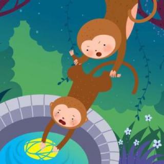 猴子打水