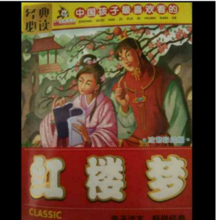 优妈班《红楼梦之宝玉神游太虚境》