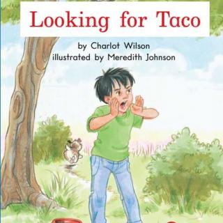 小贝天空电台--Looking for Taco