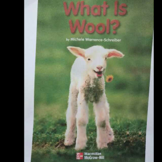 What is wool