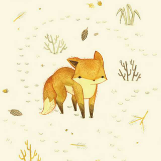 小狐狸的第一个冬天『晚安故事』🐨cool有声绘本052期