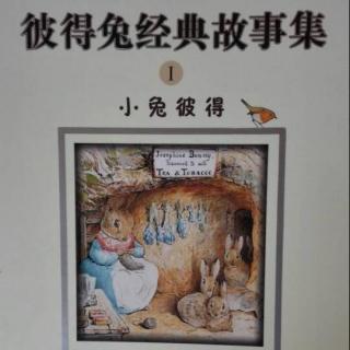 彼得兔经典故事集《弗洛普茜家的邦尼》