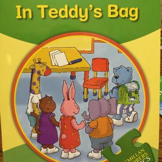 in teddy's bag