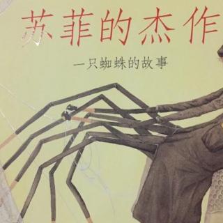 兔兔老师讲故事~苏菲的杰作