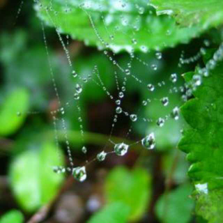 雨滴项链