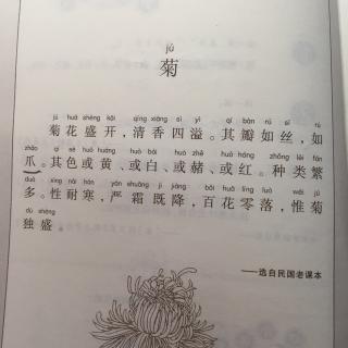 小古文菊 讲解图片