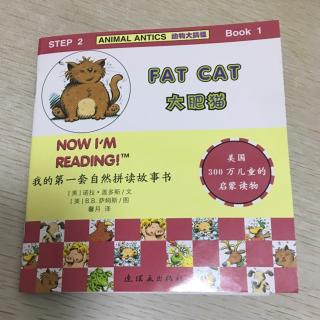 Fat Cat