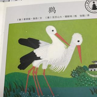 小小自然图书馆   鹳