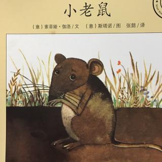 小小自然图书馆  小老鼠