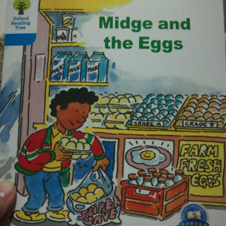 3-28 Midge and the Eggs  C